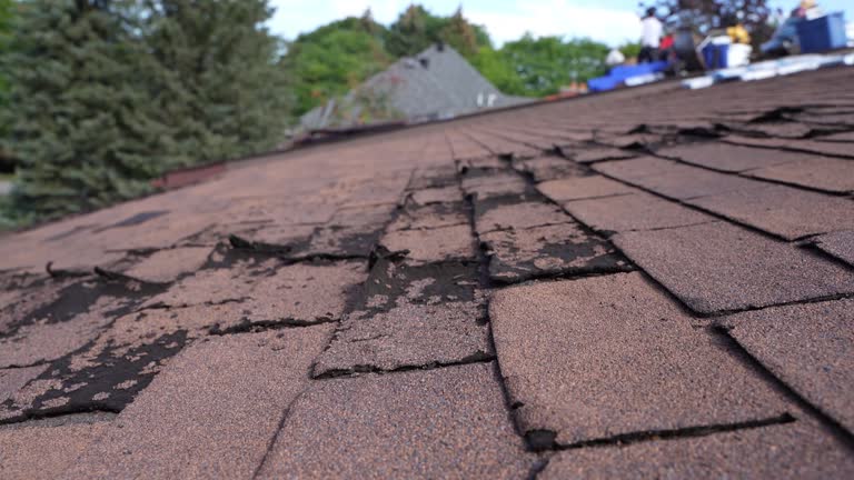 Fast & Reliable Emergency Roof Repairs in Trowbridge Park, MI