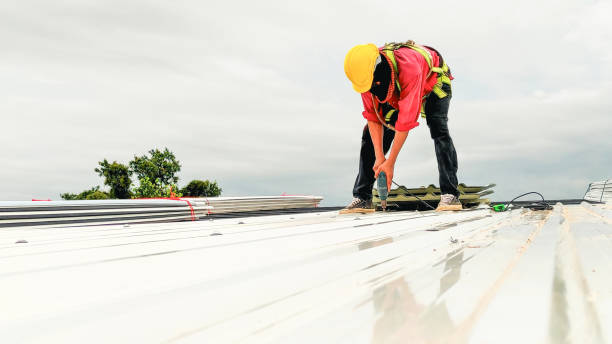Best Sheet Metal Roofing  in Trowbridge Park, MI